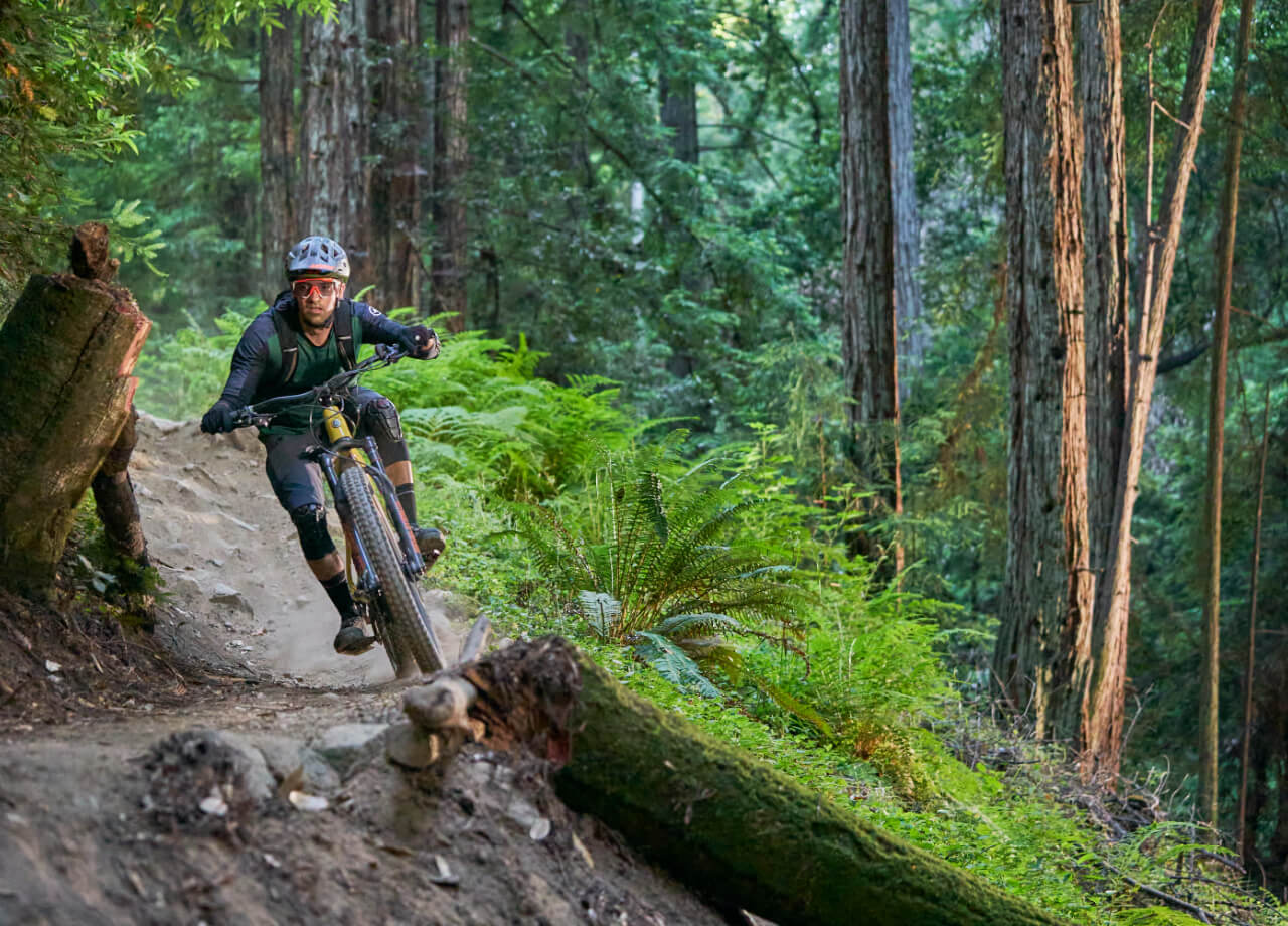 The All-New YDX-Moro
