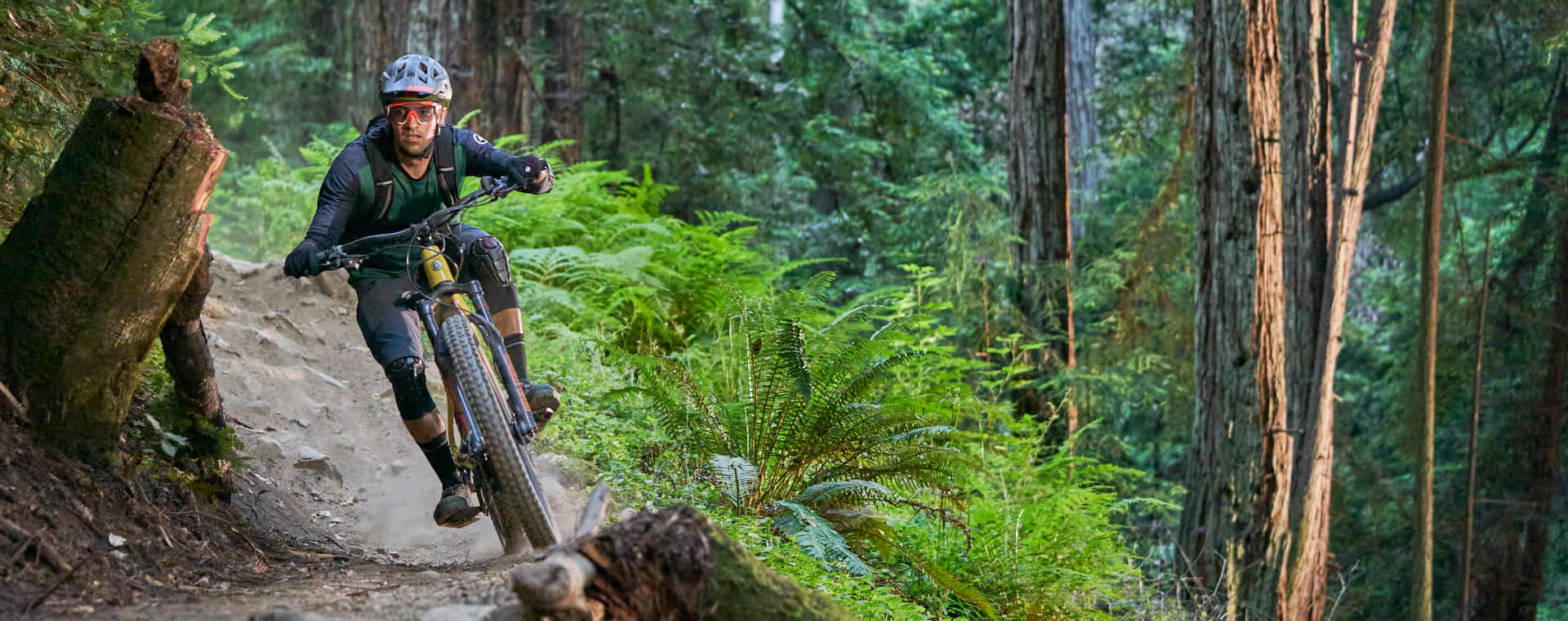 The All-New YDX-Moro