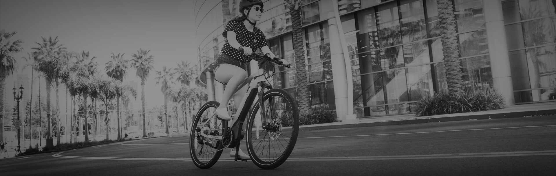All Electric Bike Models