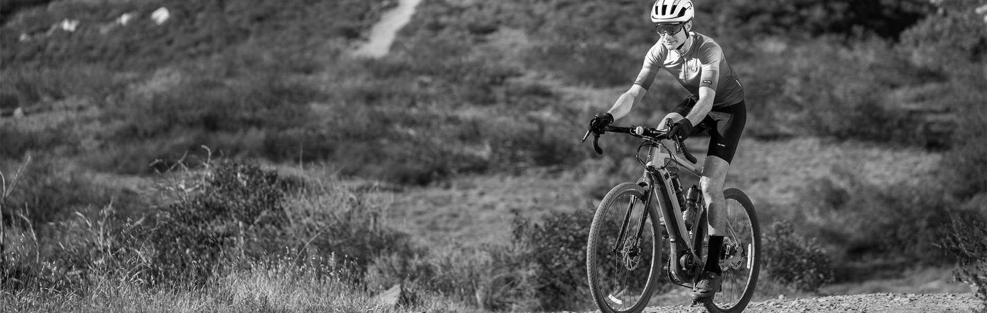 All Electric Bike Models